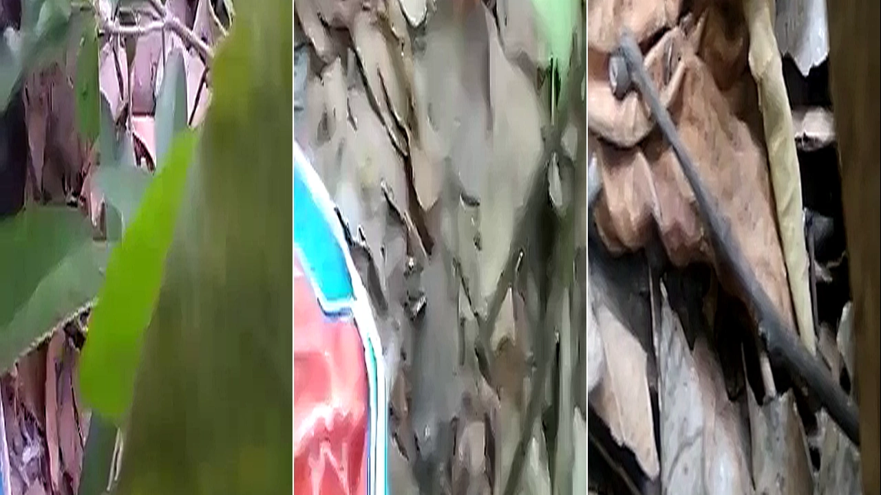 Jungle Me Jake Girlfriend Ko Choda BF